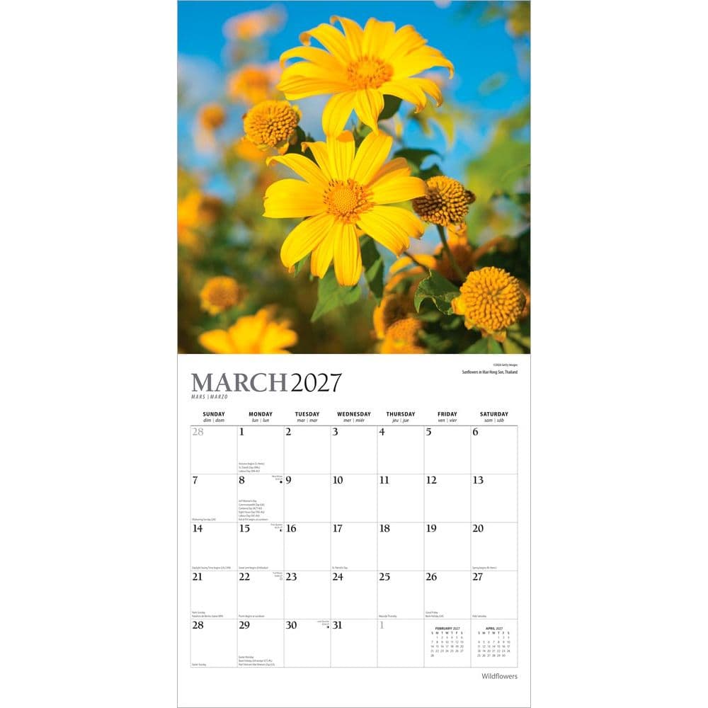 Wildflowers Plato 2027 Wall Calendar Second Alternate Image