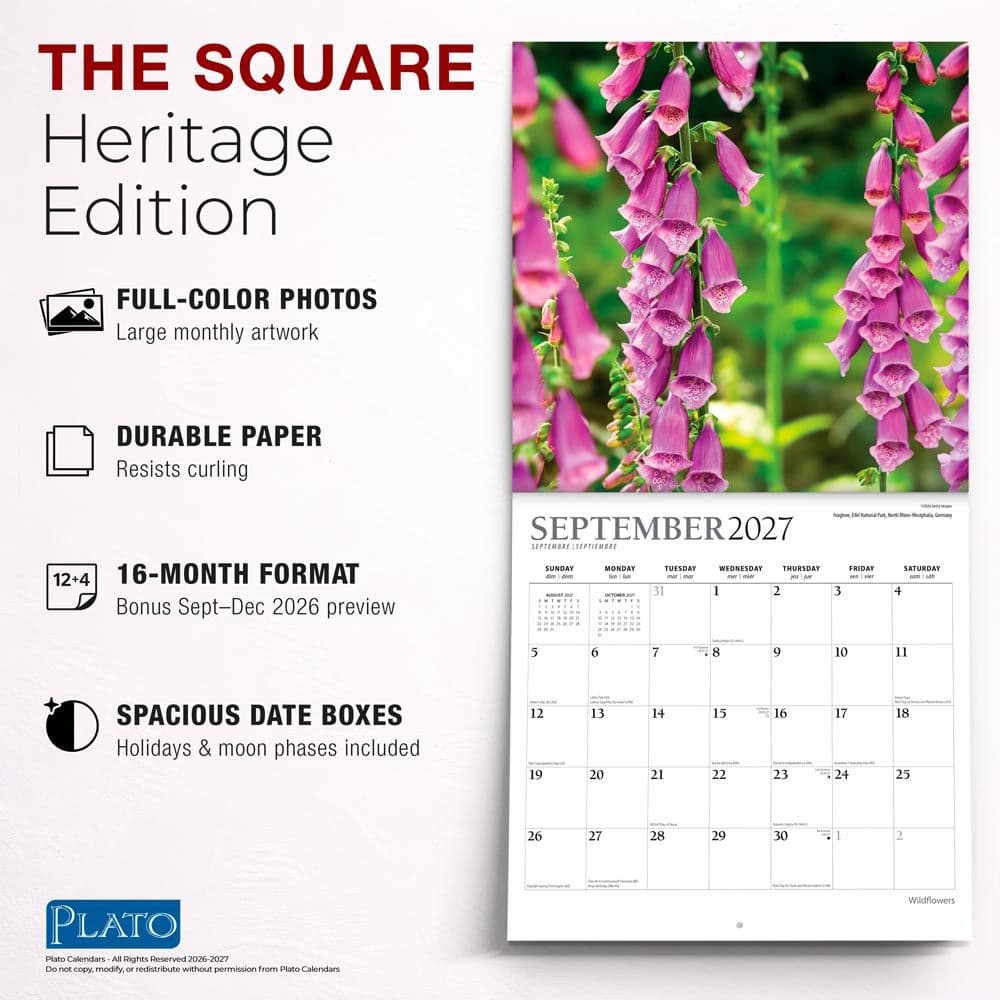 Wildflowers Plato 2027 Wall Calendar Fifth Alternate Image