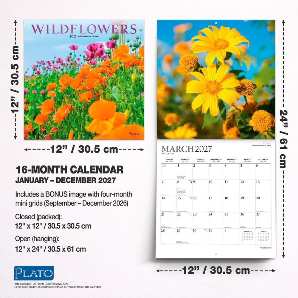 Wildflowers Plato 2027 Wall Calendar Sixth Alternate Image