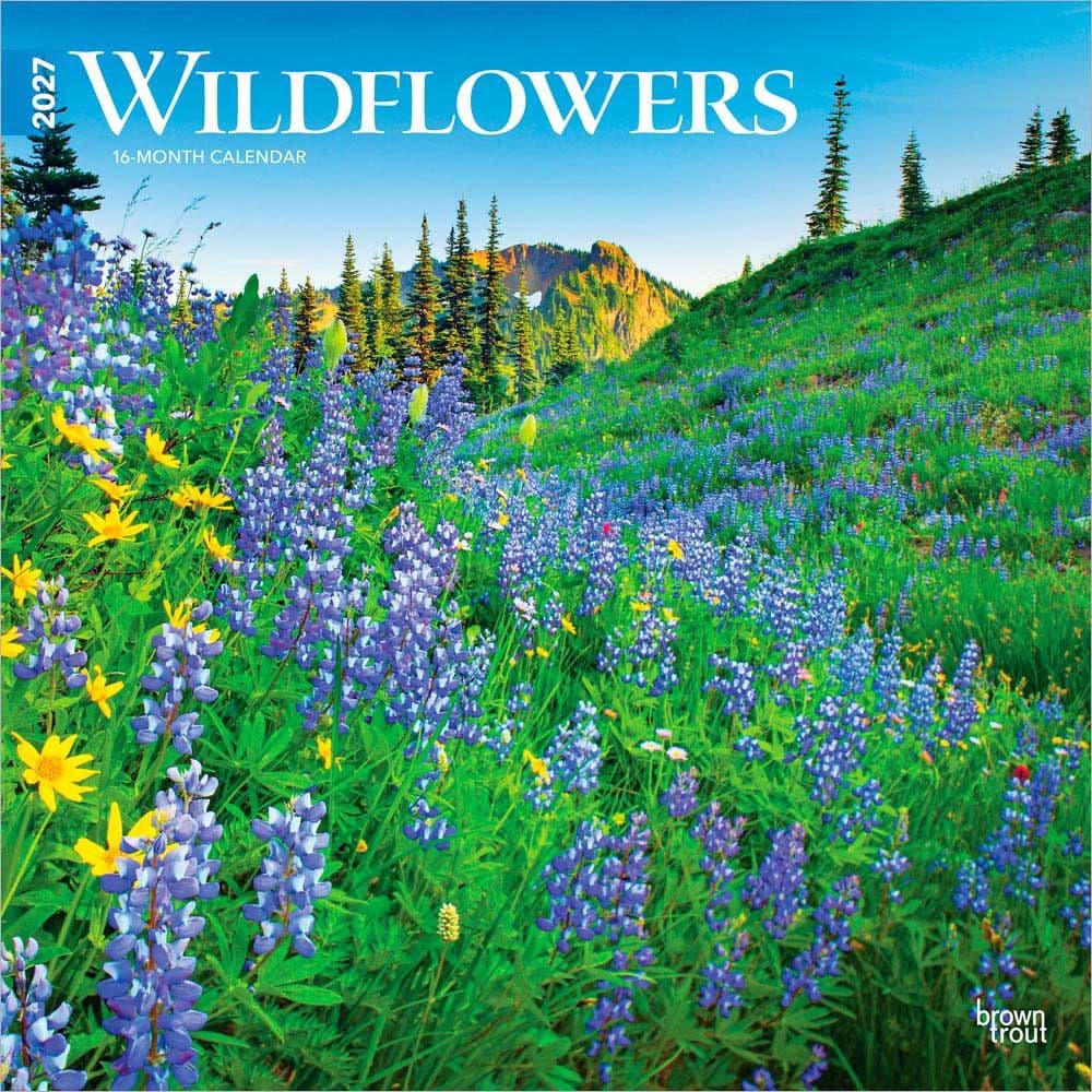 image Wildflowers 2027 Wall Calendar Main Product Image