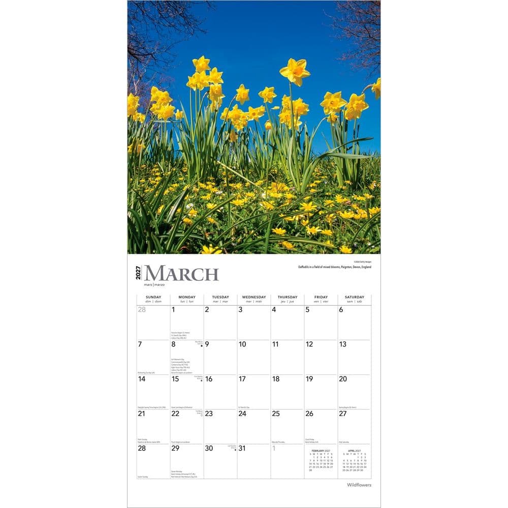 Wildflowers 2027 Wall Calendar Second Alternate Image