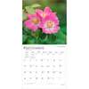 image Wildflowers 2027 Wall Calendar Third Alternate Image
