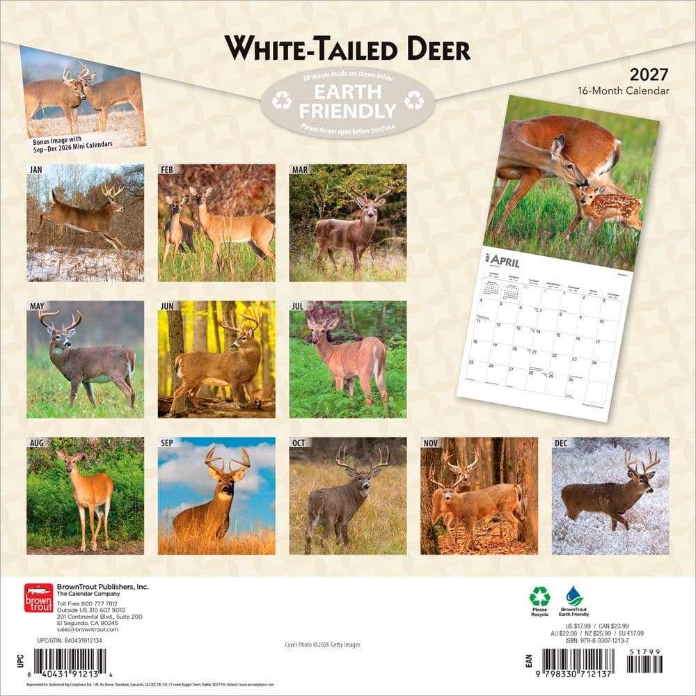 White Tailed Deer 2027 Wall Calendar First Alternate Image