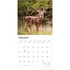 image White Tailed Deer 2027 Wall Calendar Second Alternate Image