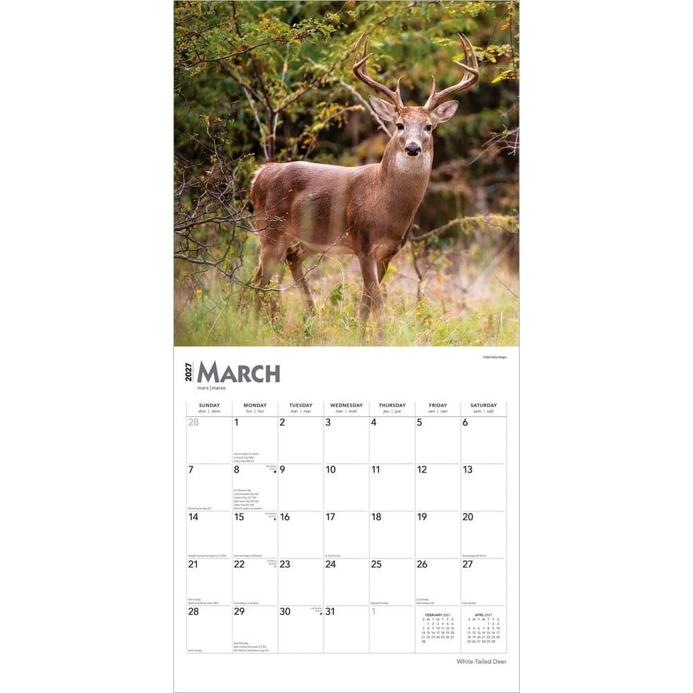 White Tailed Deer 2027 Wall Calendar Second Alternate Image
