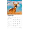 image White Tailed Deer 2027 Wall Calendar Third Alternate Image