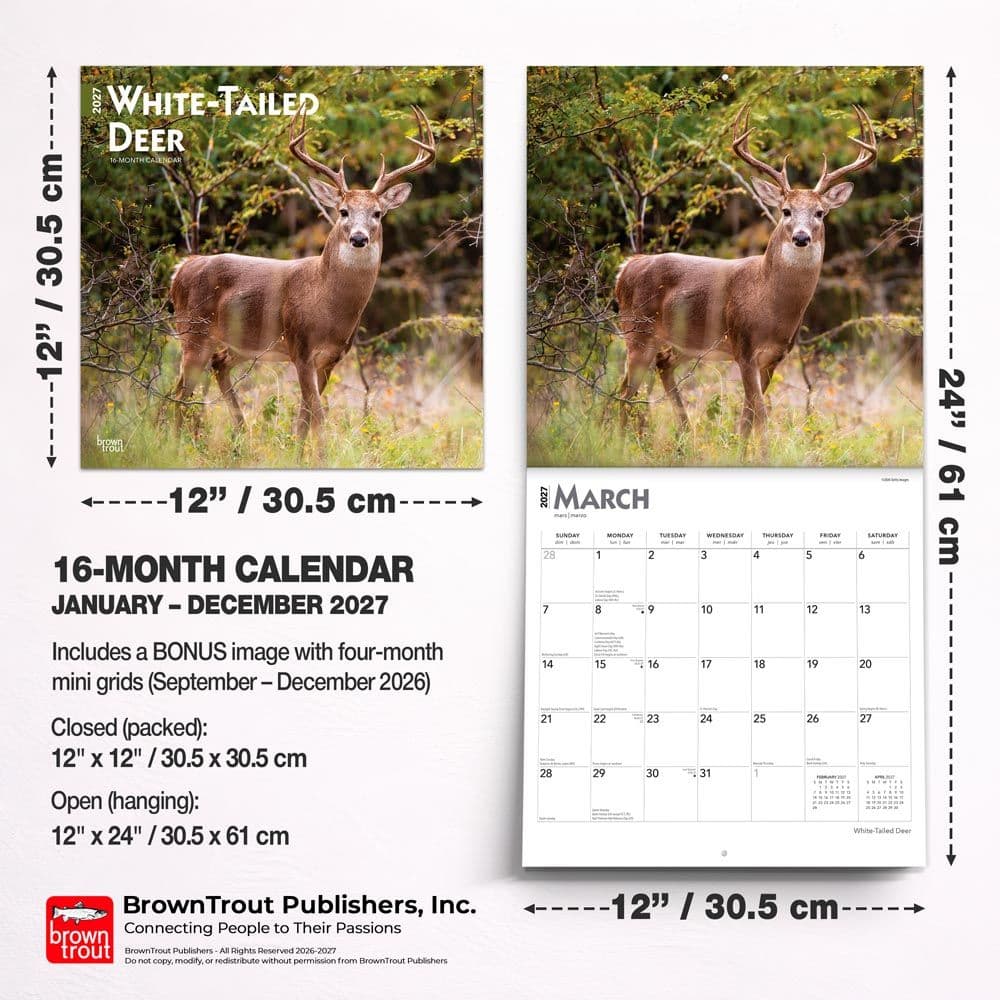 White Tailed Deer 2027 Wall Calendar Sixth Alternate Image