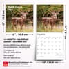 image White Tailed Deer 2027 Wall Calendar Sixth Alternate Image