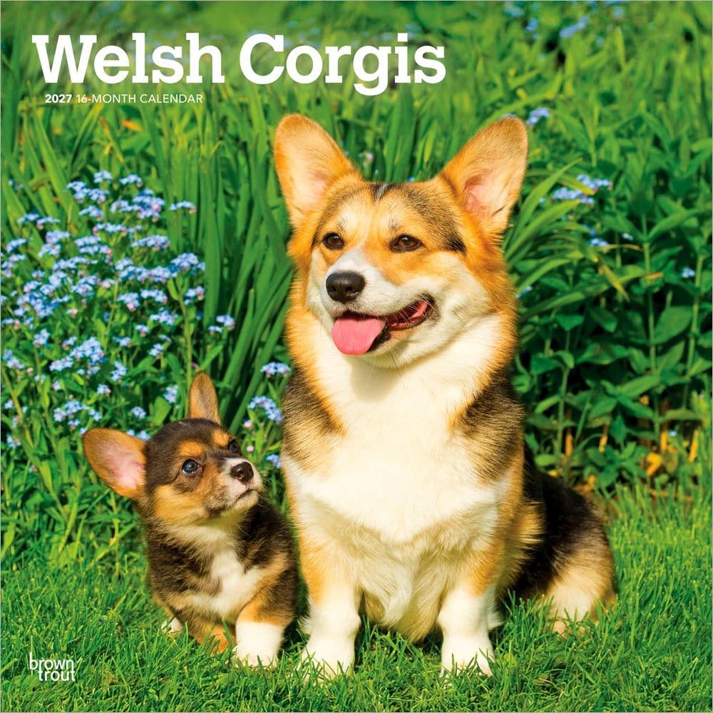 image Welsh Corgis 2027 Wall Calendar Main Product Image