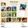 image Welsh Corgis 2027 Wall Calendar First Alternate Image