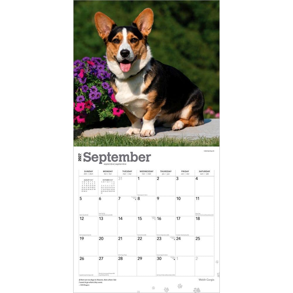 Welsh Corgis 2027 Wall Calendar Third Alternate Image
