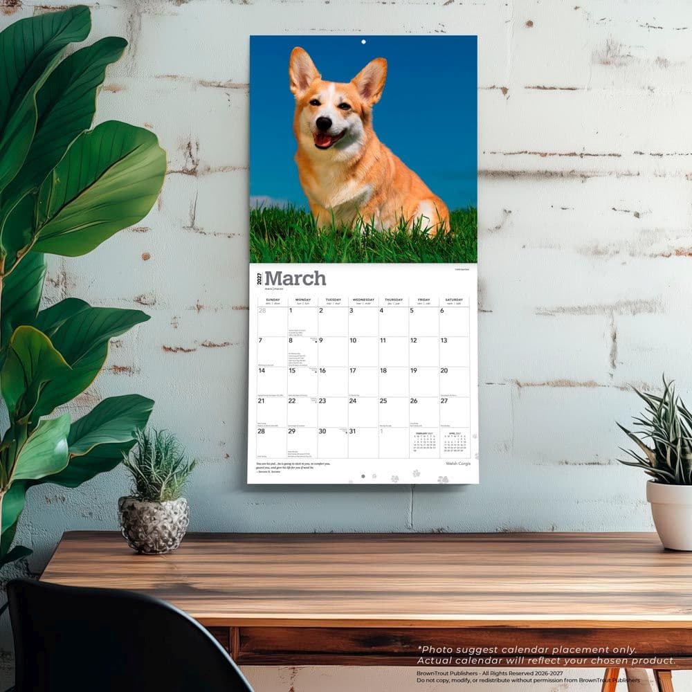 Welsh Corgis 2027 Wall Calendar Fourth Alternate Image