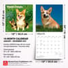 image Welsh Corgis 2027 Wall Calendar Sixth Alternate Image