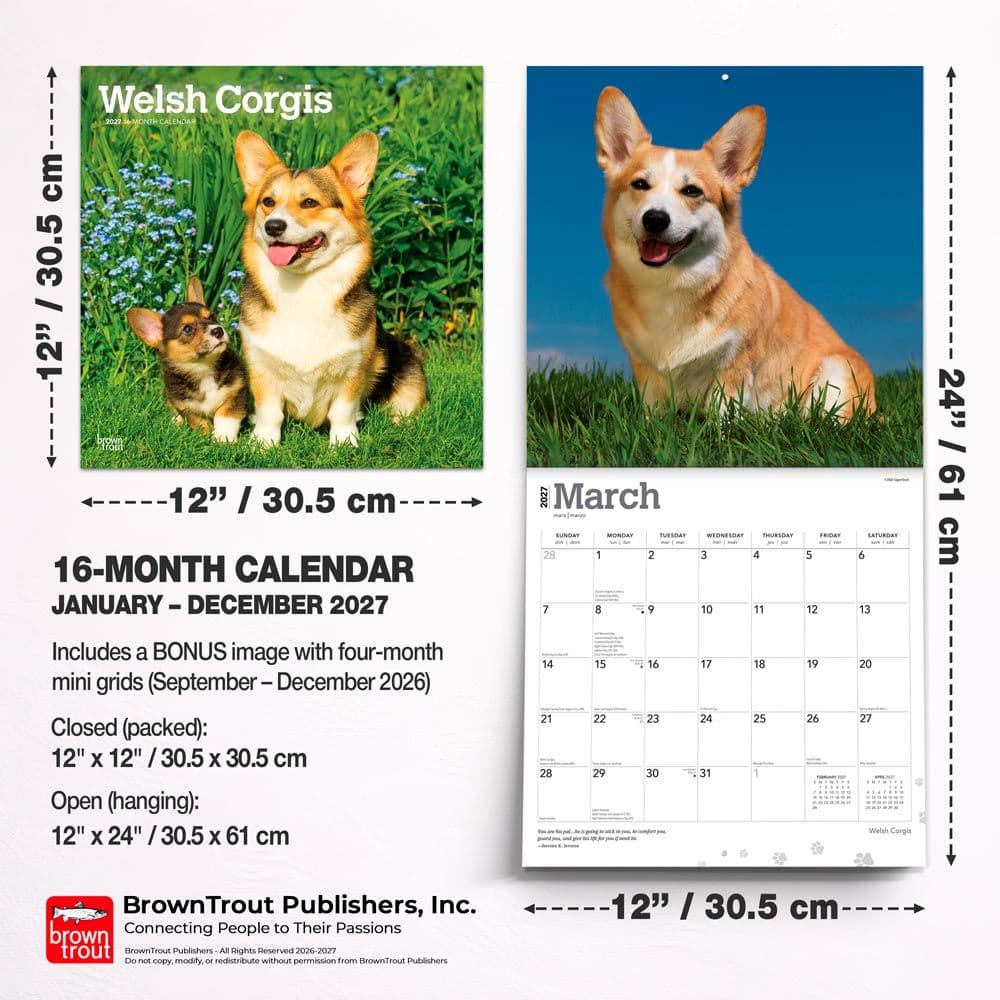 Welsh Corgis 2027 Wall Calendar Sixth Alternate Image