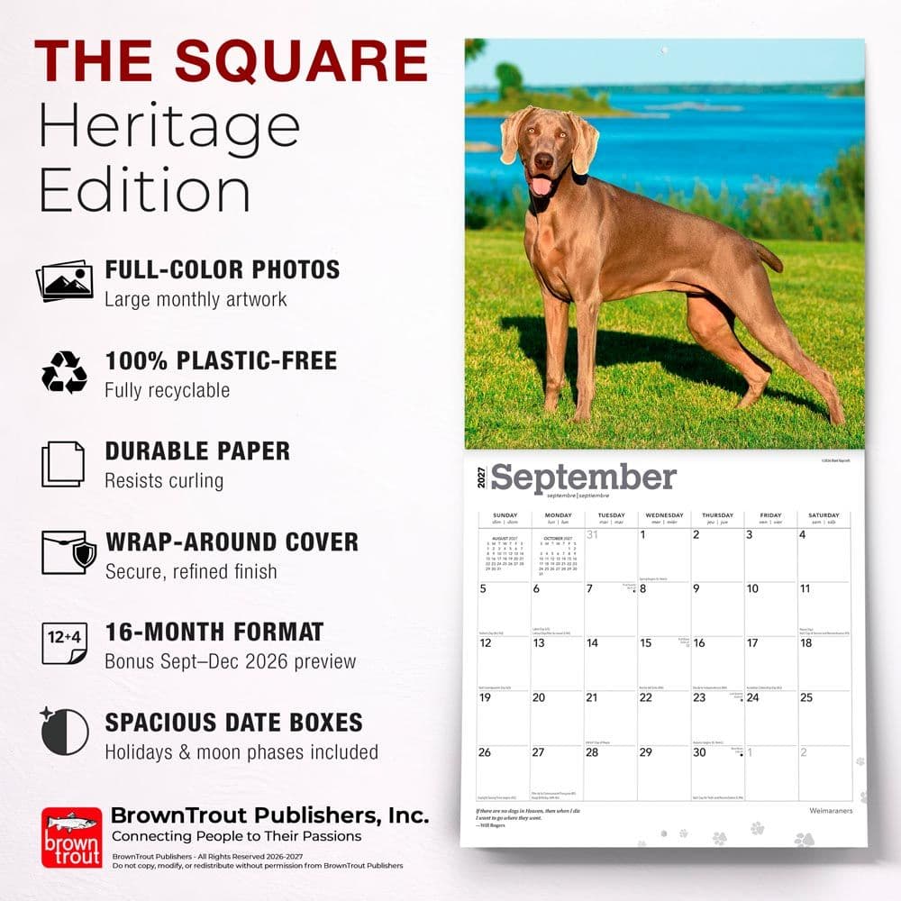 Weimaraners 2027 Wall Calendar Fifth Alternate Image