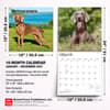 image Weimaraners 2027 Wall Calendar Sixth Alternate Image
