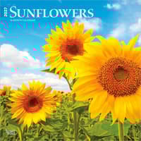 image Sunflowers 2027 Wall Calendar Main Product Image