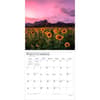 image Sunflowers 2027 Wall Calendar Third Alternate Image