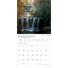 image South Carolina Wild and Scenic 2027 Wall Calendar Third Alternate Image