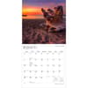 image Pennsylvania Wild and Scenic 2027 Wall Calendar Second Alternate Image