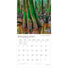 image National Parks 2027 Wall Calendar Third Alternate Image