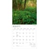 image Maryland Wild and Scenic 2027 Wall Calendar Second Alternate Image