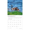 image Illinois 2027 Wild and Scenic 2027 Wall Calendar Third Alternate Image