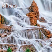 image Idaho 2027 Wild and Scenic 2027 Wall Calendar Main Product Image