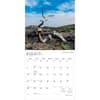 image Idaho 2027 Wild and Scenic 2027 Wall Calendar Second Alternate Image
