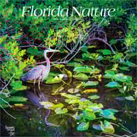 image Florida Nature 2027 Wall Calendar Main Product Image
