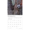 image Connecticut Wild and Scenic 2027 Wall Calendar Third Alternate Image