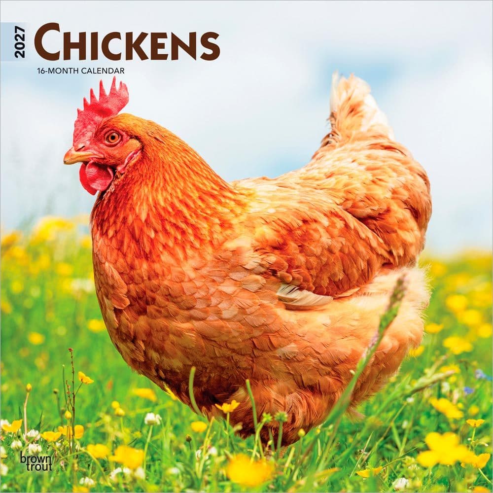 Chickens 2027 Wall Calendar Main Product Image