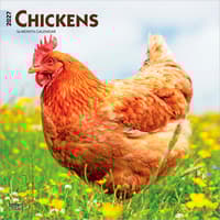 image Chickens 2027 Wall Calendar Main Product Image