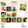 image Chickens 2027 Wall Calendar First Alternate Image