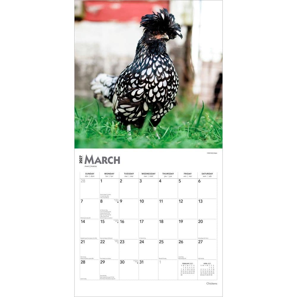 Chickens 2027 Wall Calendar Second Alternate Image