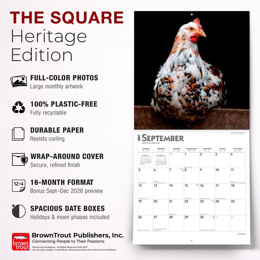 Chickens 2027 Wall Calendar Fifth Alternate Image
