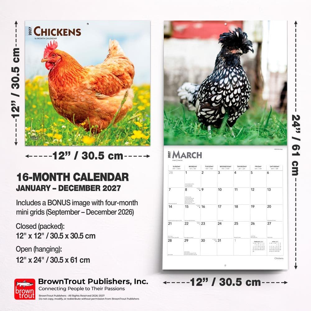 Chickens 2027 Wall Calendar Sixth Alternate Image
