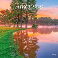 image Arkansas 2027 Wild and Scenic 2027 Wall Calendar Main Product Image