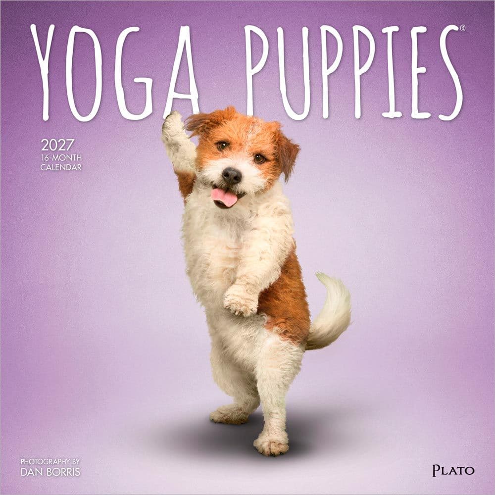 Yoga Puppies Plato 2027 Wall Calendar