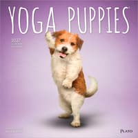 image Yoga Puppies Plato 2027 Wall Calendar Main Product Image