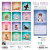 image Yoga Puppies Plato 2027 Wall Calendar First Alternate Image