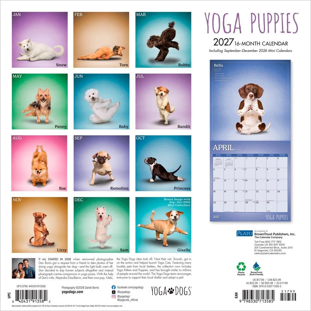Yoga Puppies Plato 2027 Wall Calendar First Alternate Image