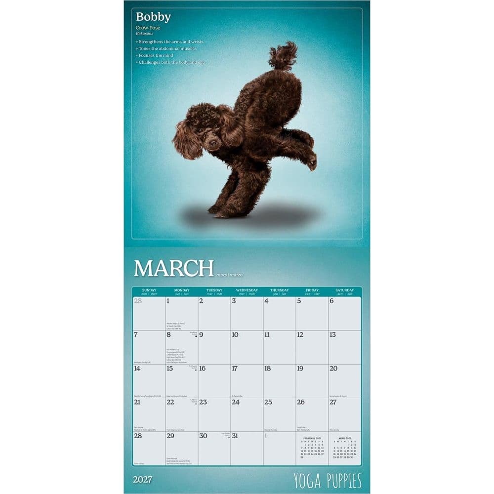 Yoga Puppies Plato 2027 Wall Calendar Second Alternate Image