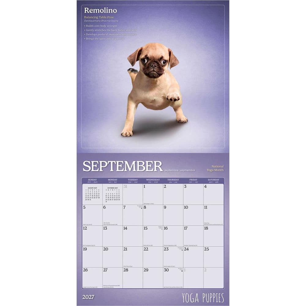 Yoga Puppies Plato 2027 Wall Calendar Third Alternate Image
