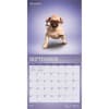 image Yoga Puppies Plato 2027 Wall Calendar Third Alternate Image