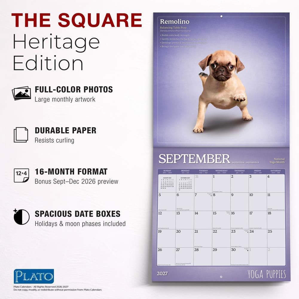 Yoga Puppies Plato 2027 Wall Calendar Fifth Alternate Image