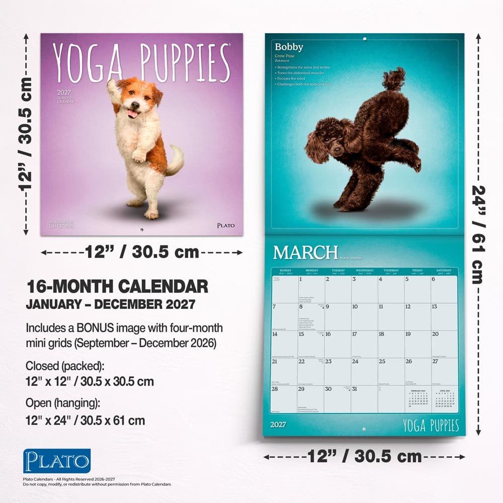 Yoga Puppies Plato 2027 Wall Calendar Sixth Alternate Image