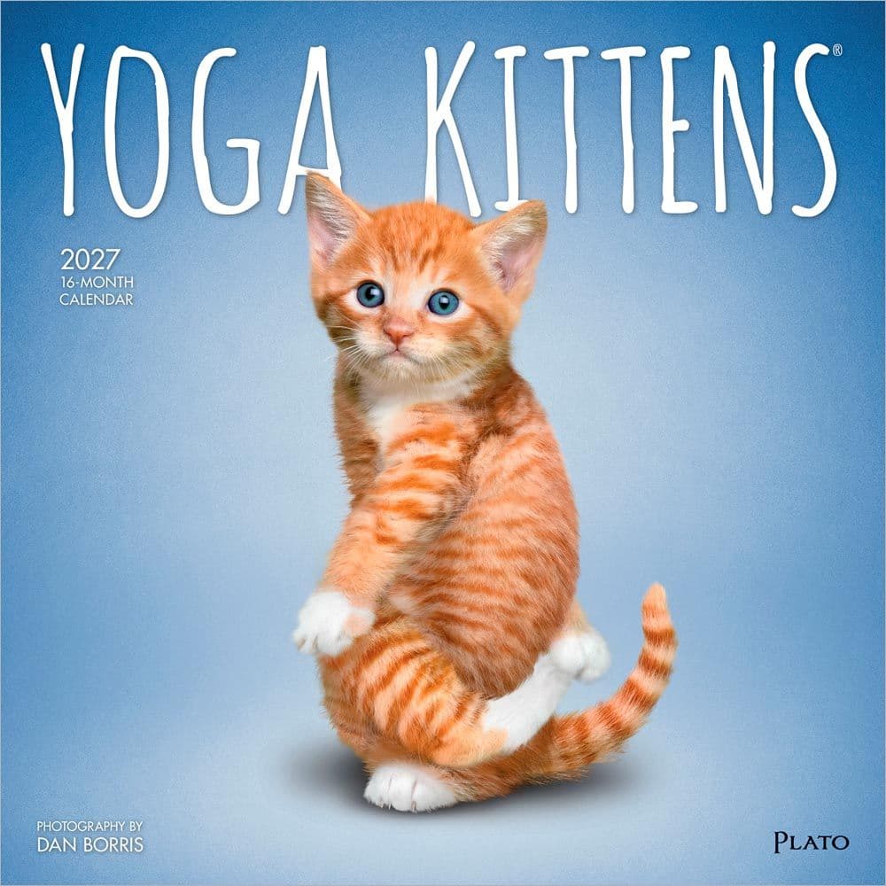 Yoga Kittens Plato 2027 Wall Calendar