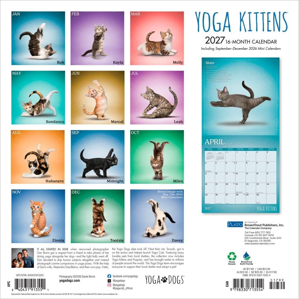Yoga Kittens Plato 2027 Wall Calendar First Alternate Image