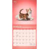 image Yoga Kittens Plato 2027 Wall Calendar Second Alternate Image